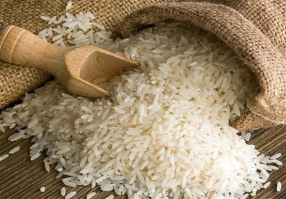 قیمت خرید برنج کامفیروزی + فروش ویژه